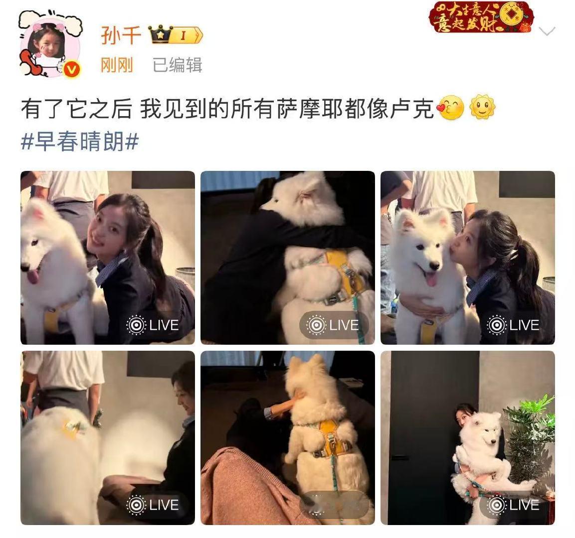 孙千说见到的所有萨摩耶都像卢克孙千见到的萨摩耶都像卢克 两个萌物 ​​​