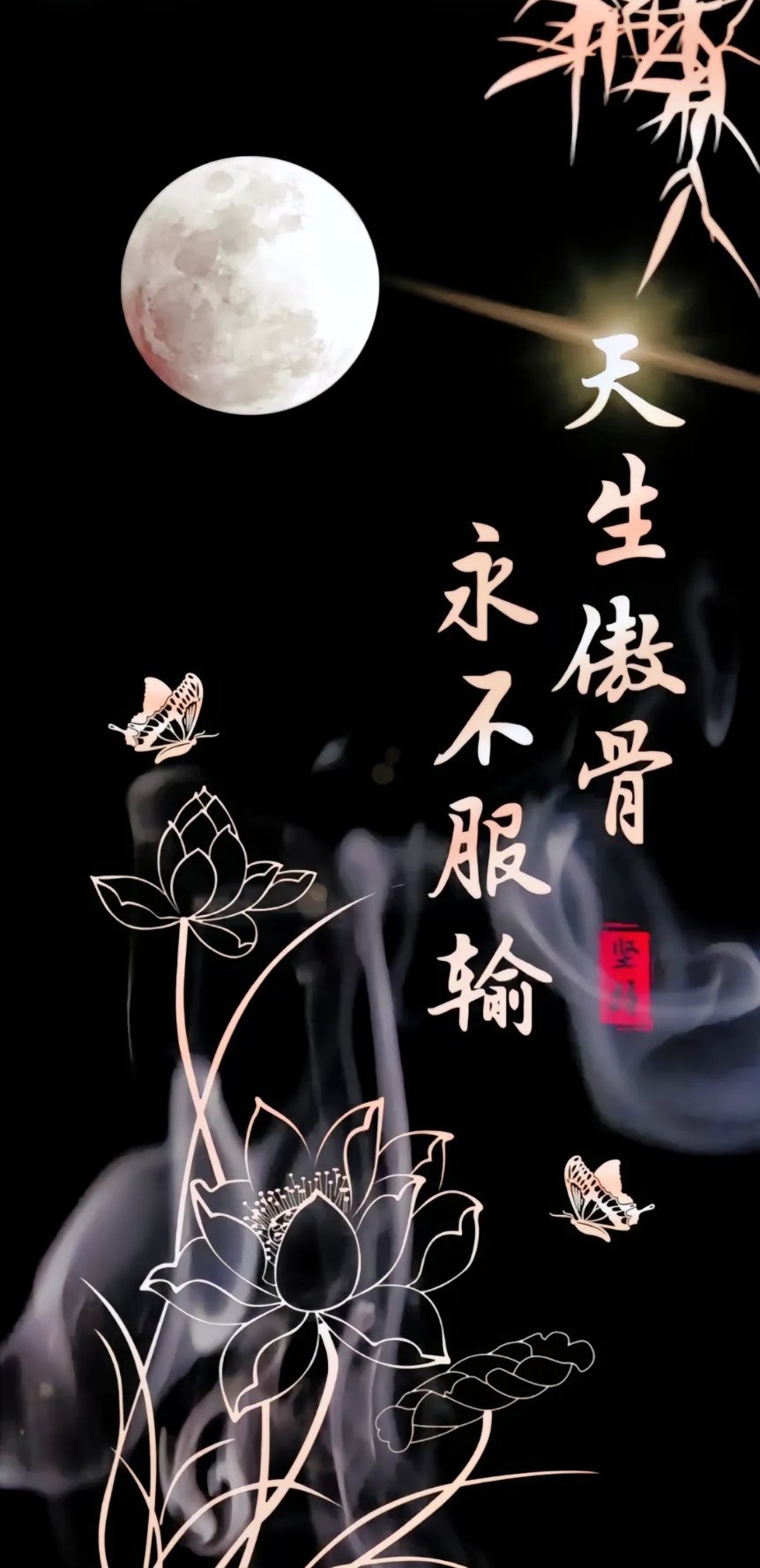 生活向阳，人生向暖。轻安喜乐，次第花开。11月28日星期五今日关注！科森科技60