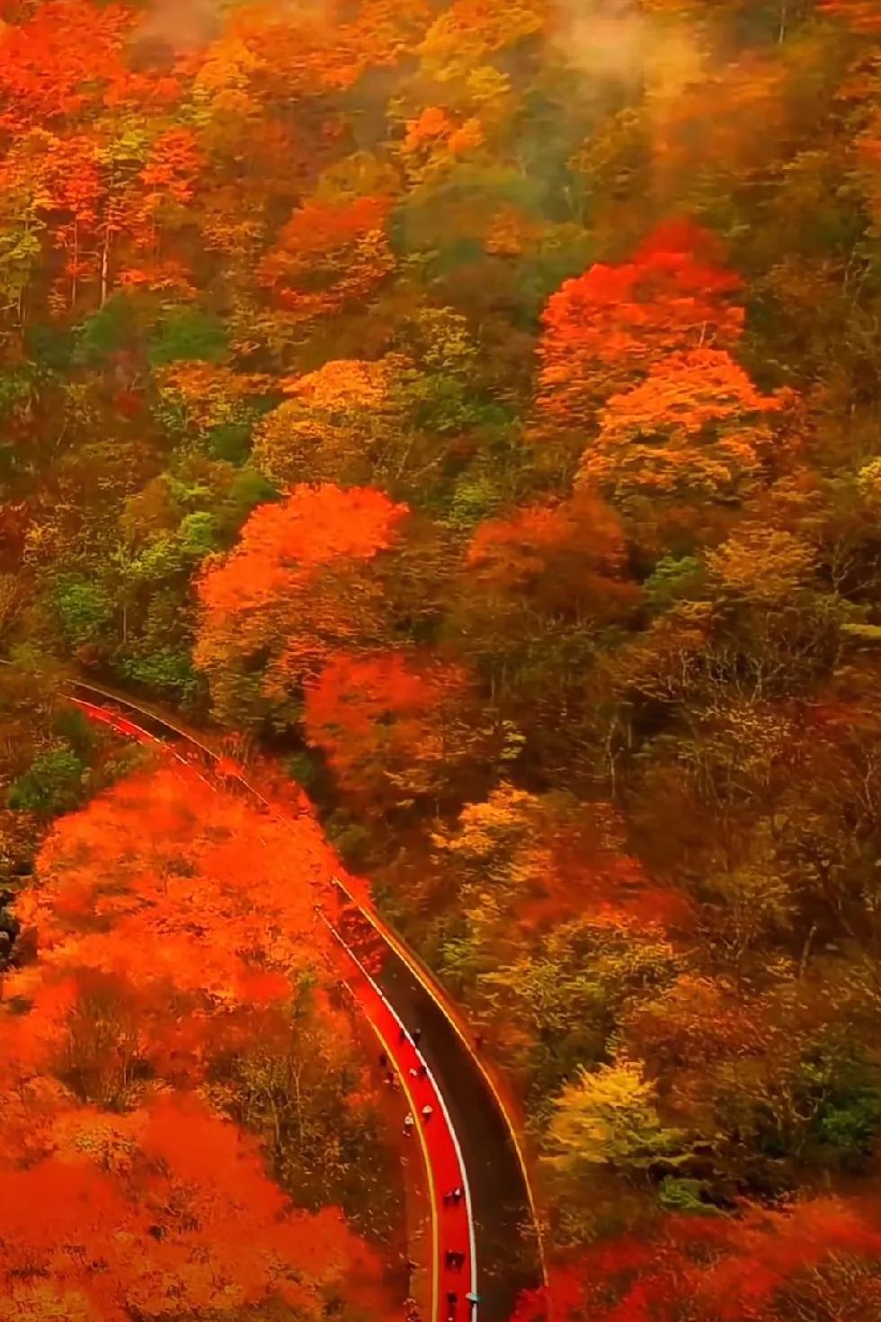 上联：秋山染彩千峰秀，
下联：[作揖][作揖][作揖]
#请诗友赐下联：#