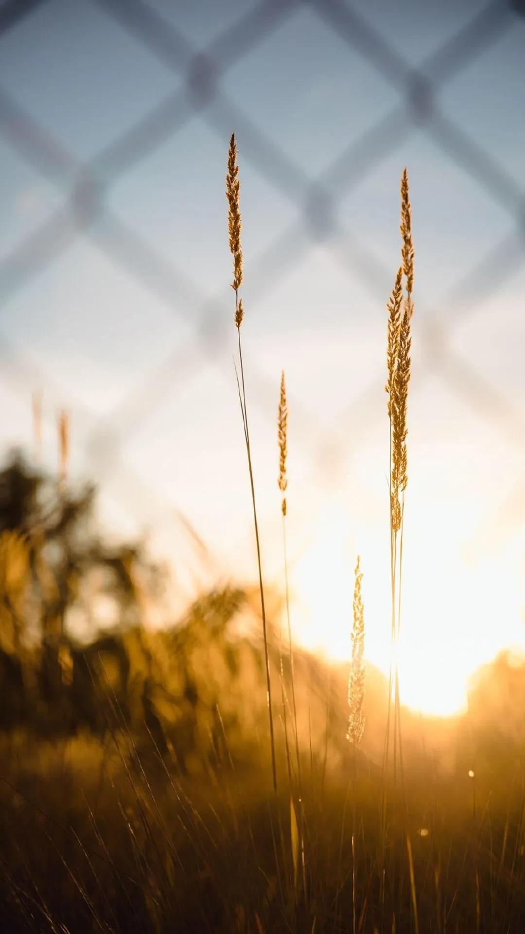 眼睛看得多，耳朵听得多，然后人就想得多。想得多，思虑就重。思虑重这个人什么都不干