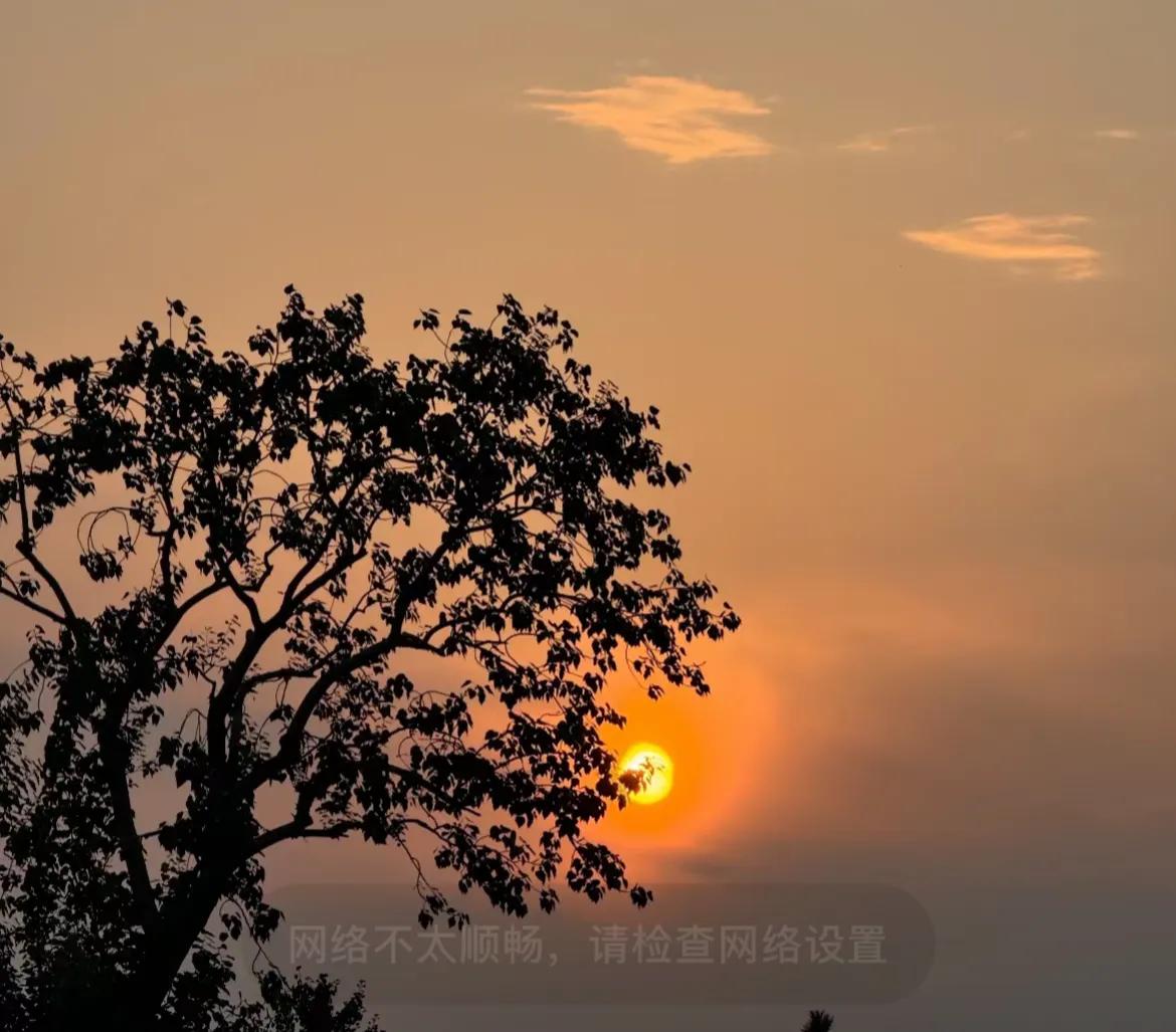 听我一句劝！人真的不能太好！
因为那份过度的善良与温柔，往往让自我之路布满荆棘。