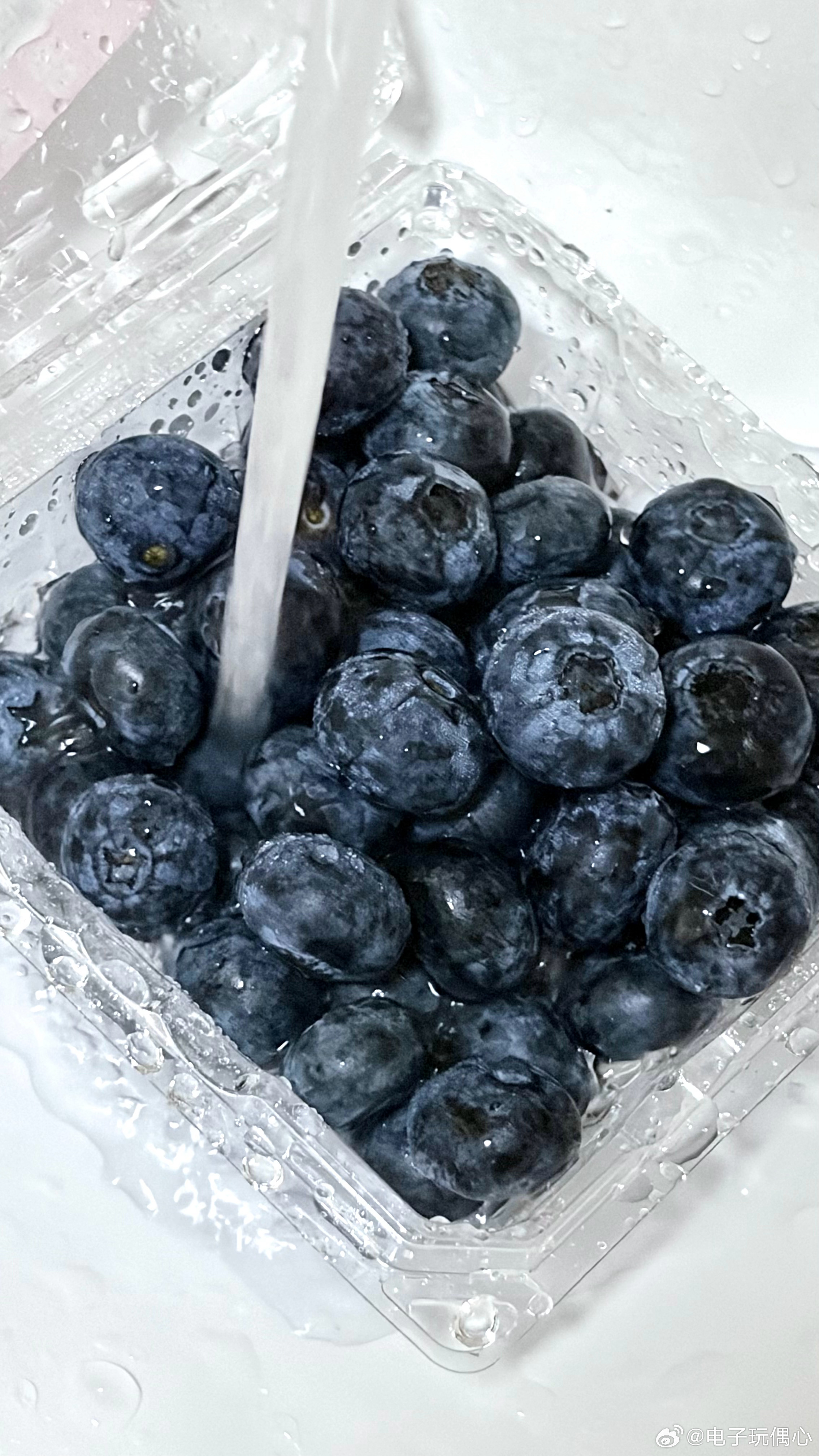 生活手记 谁能拒绝一盒子可爱的胖宝宝！ 