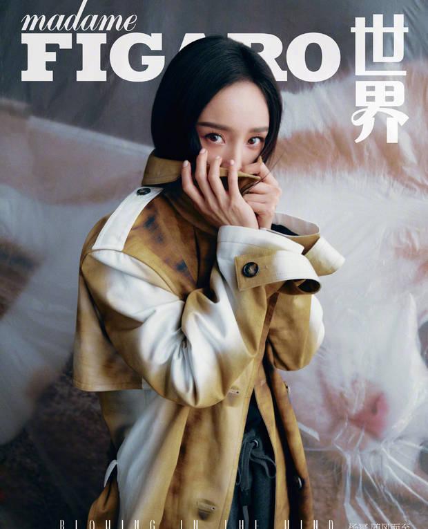 杨幂黑长直造型气场全开 紧身黑裙勾勒玲珑曲线
搜狐娱乐讯 10月9日，杨幂最新大