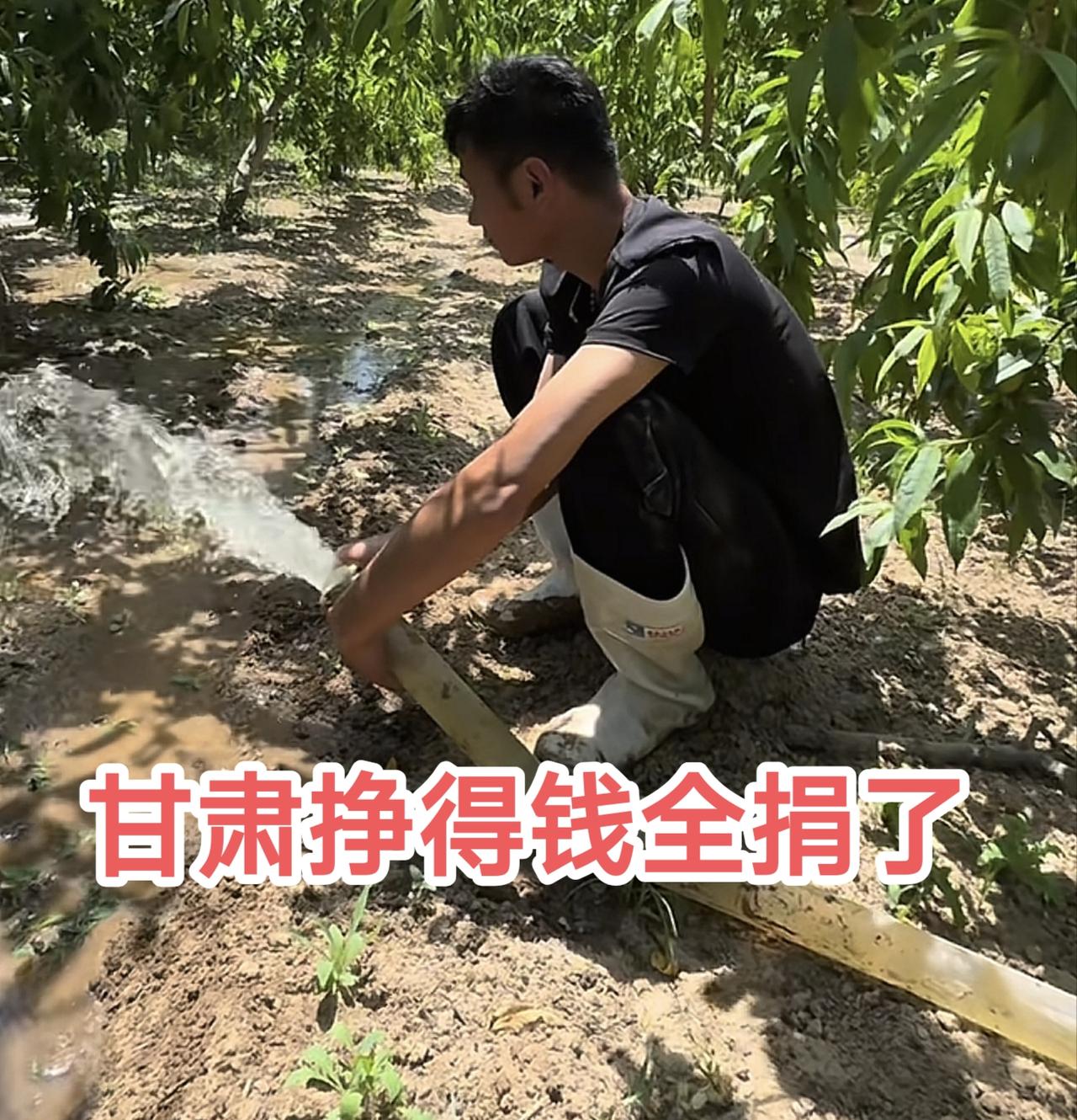 厉怀远甘肃行算是白忙活了！
厉怀远回到砀山后的第一件事就是跑到果园里浇地，因为7