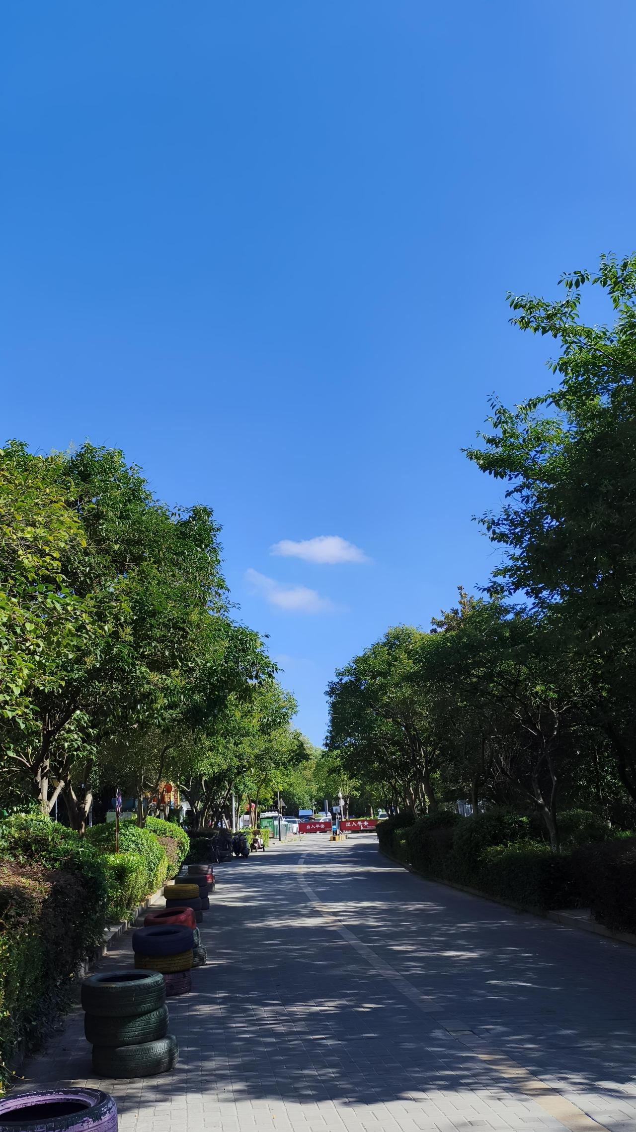 南京今天这天气确实给人惊喜，阳光不算刺眼，微风带着丝丝凉爽，出门溜达一圈，别提多