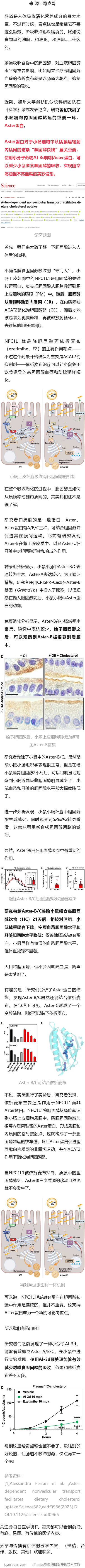 《科学》：高油脂摄入但不会高血脂的秘诀？科学家找到了肠细胞吸收消化胆固醇的关键转