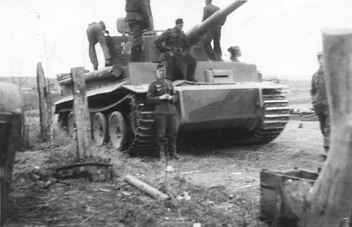 国防军505营的老虎在白俄罗斯，摄于1944年春天军事历史全触达坦克装甲车辆烽火