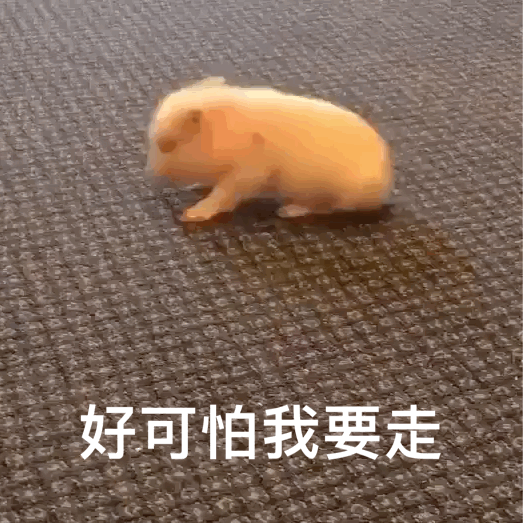 我很想去沙滩看日落 但是呢 那边的停车费一个小时要收我10块钱 