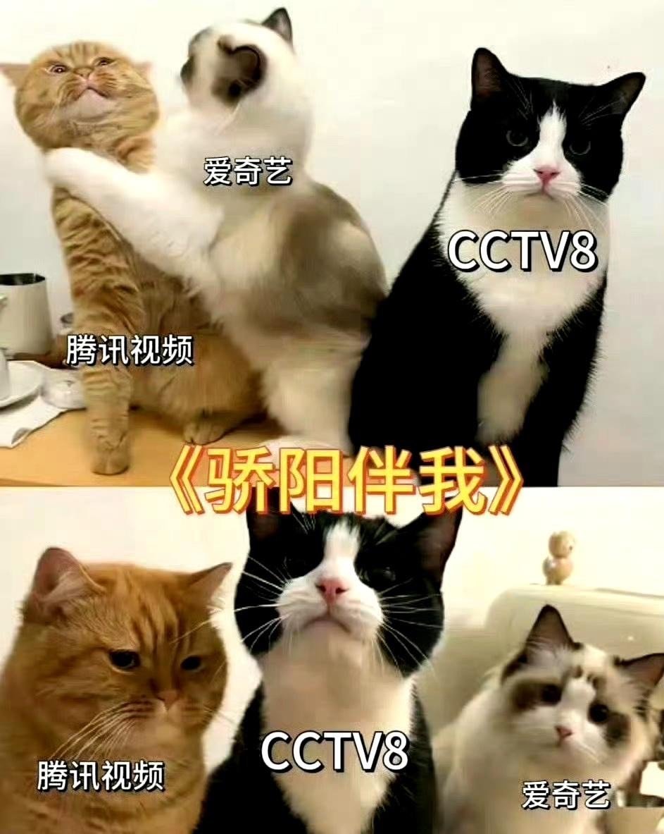 #央八在干什么#  还得是央八 ​​​