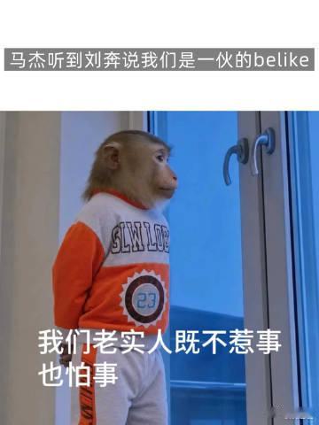 年会不能停2猴子演我上班年会不能停2猴子比我会上班同样是打工人，小猴活得肆意张扬