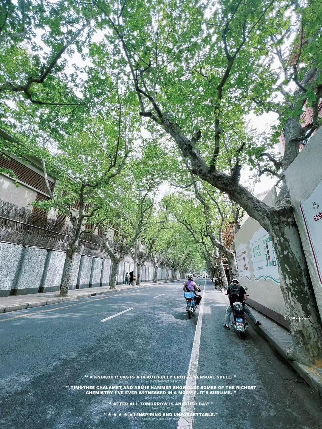  今天夏天的风🍧午后开始学唱《双节棍》和《乔克叔叔》💽煮一锅茶叶蛋🥚奇奇怪