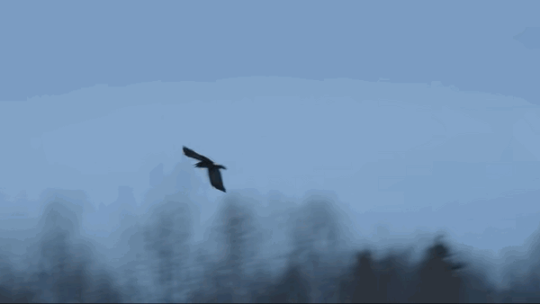 大生意人你放心追就行了从冰面戏的寒意到服化道的暗纹，处处是用心，不愧是张挺团队的