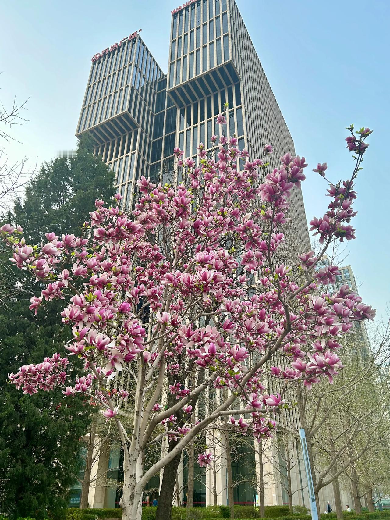 花团锦簇，春竟四时留