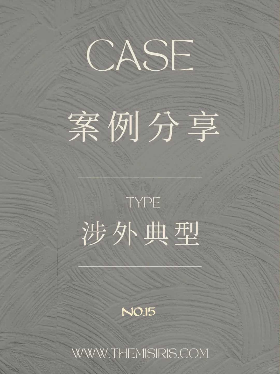 典型涉外案例分享