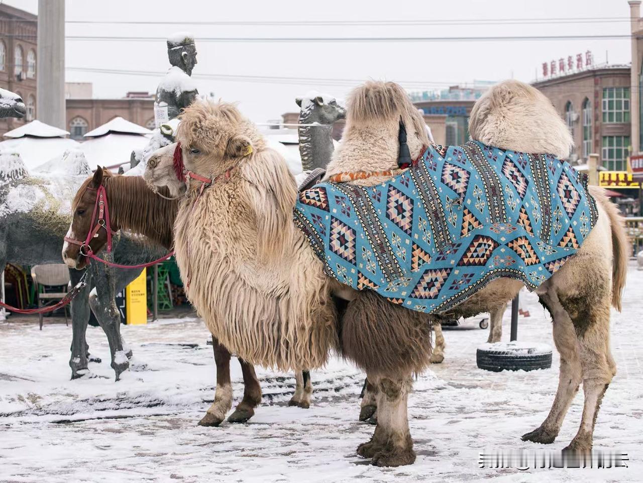中亚明珠喀什古城