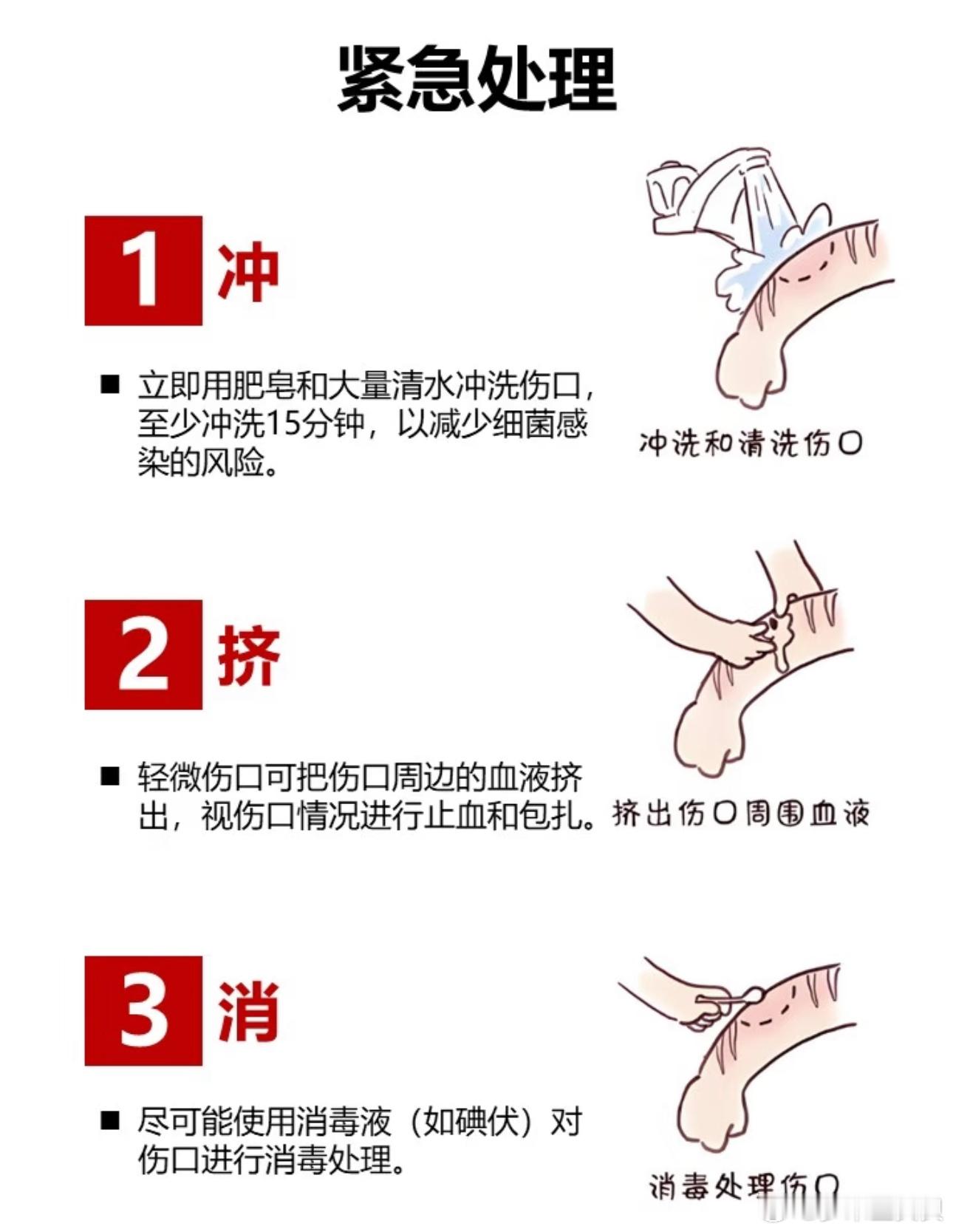 女孩怕责备隐瞒被狗咬后狂犬病去世猫狗兔抓伤咬伤急救一冲二挤三消1. 冲：肥皂水+
