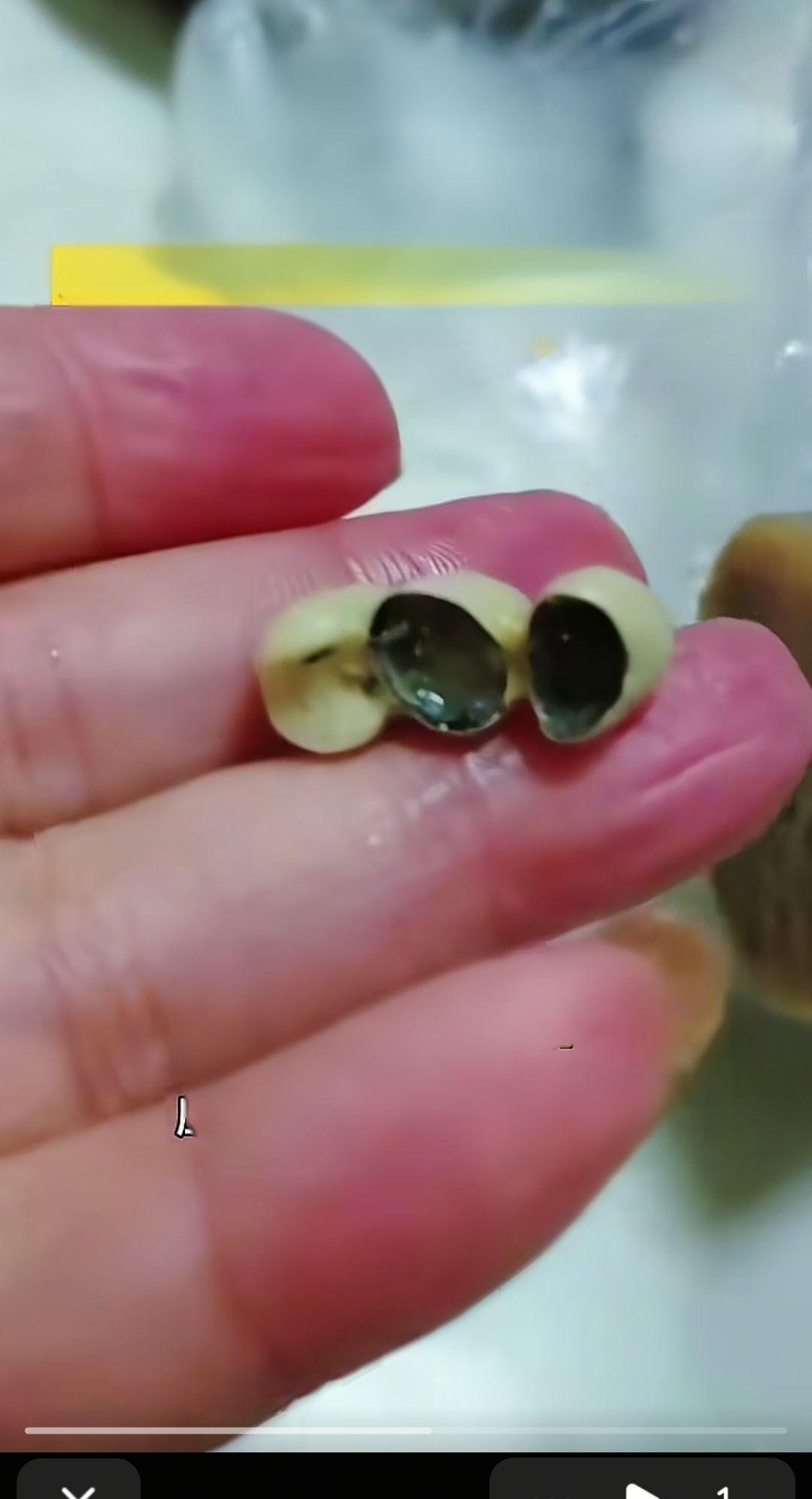 一网友买了香肠，吃的时候竟吃出三颗假牙，没错，是人的牙齿。
这商家是怎么回事，也