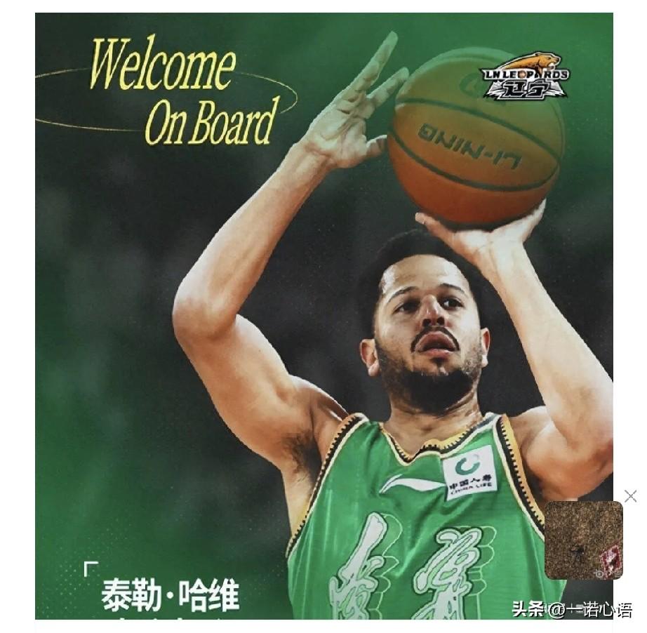 终于盼来了，Cbα第二阶段开赛！
3月11号，辽宁队客场挑战深圳。
这场比赛注定