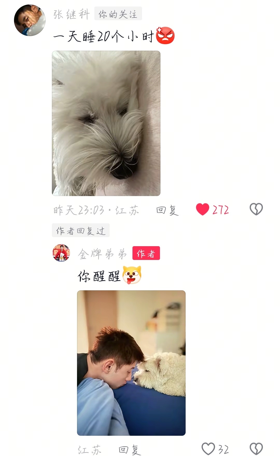 张继科 做狗做得明白吗？臭鸡排