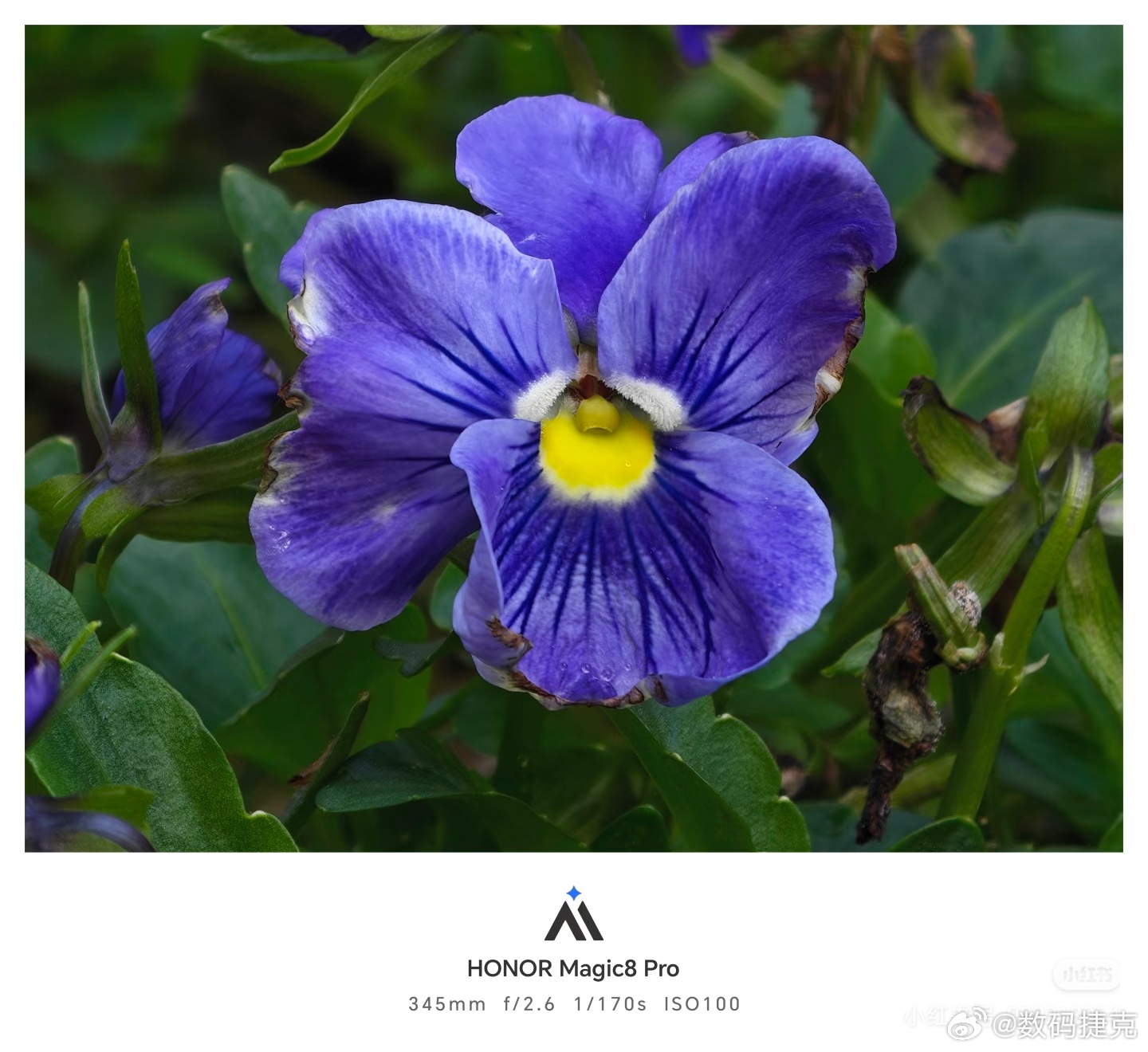 P1-P3 设备：荣耀 Magic8ProP4-P6 设备：iPhone17Pr