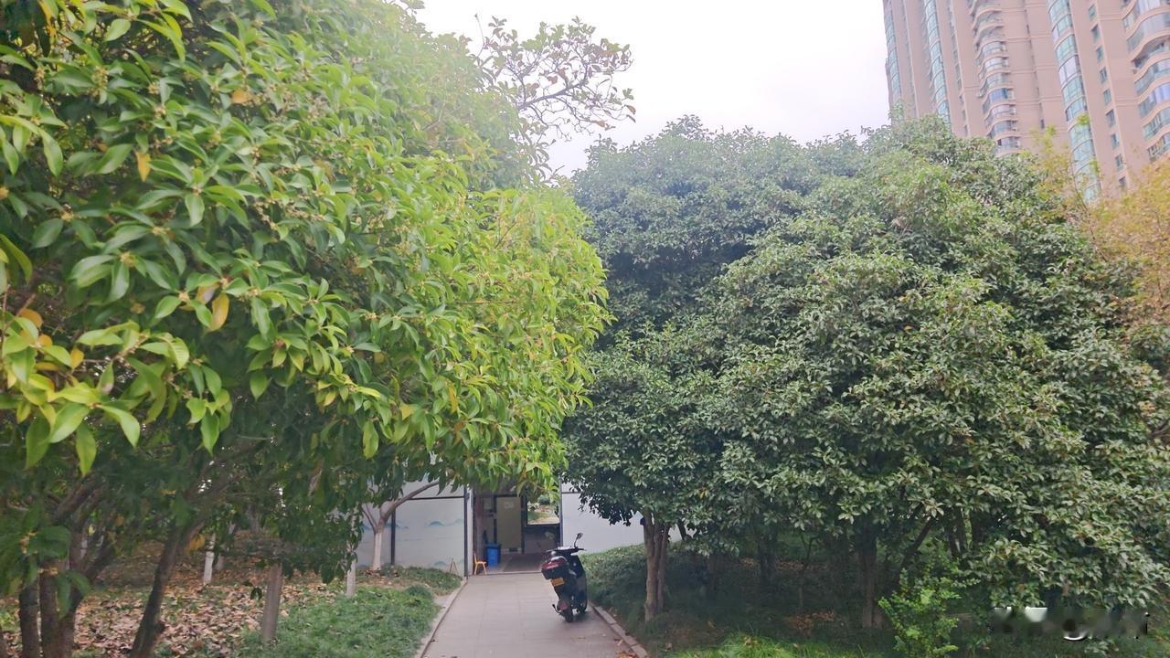 到了杭州，每天除了做饭，写字，就是去钱塘江边散步，日子无聊的很。
找工作的心蠢蠢