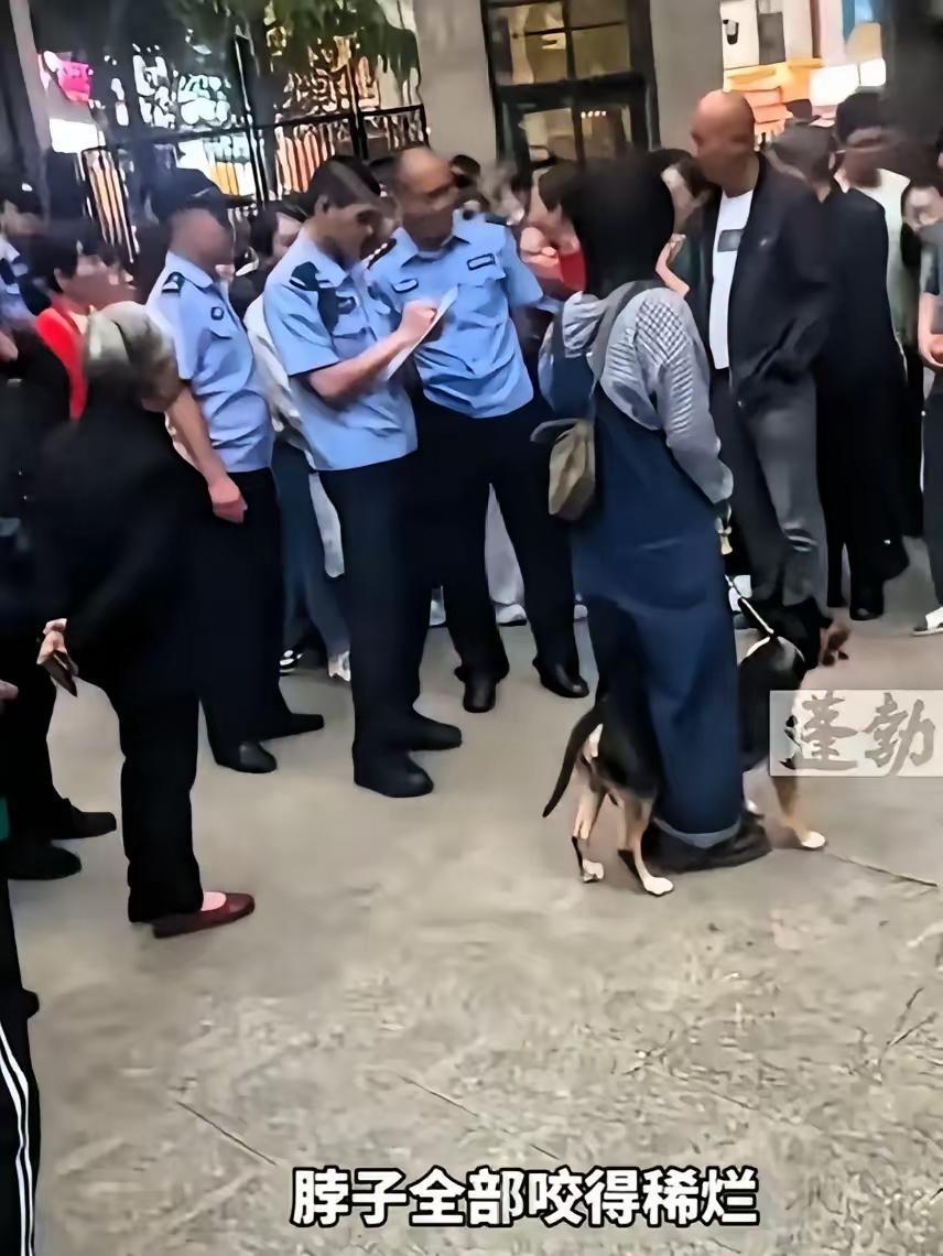 四川眉山这起狗咬人事件，让很多人意识到一个关键点：

出门遛狗，仅仅牵绳远远不够