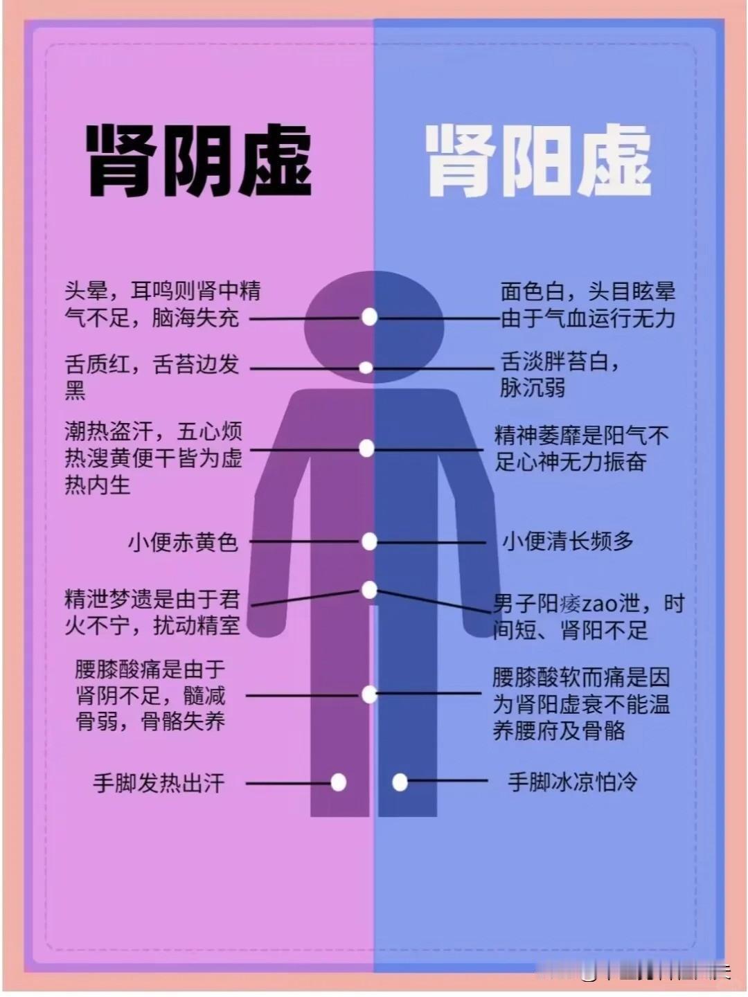 如何区分肾阳虚和肾阴虚？