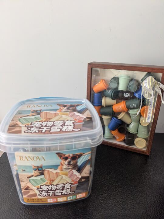 🔥三伏天救星！小猫能吃冰淇淋？