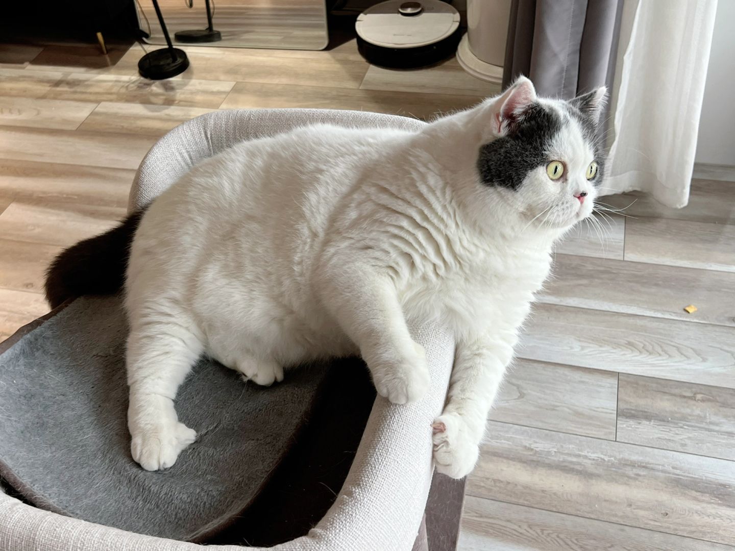 小猫：我妈一个月3000我花2500
