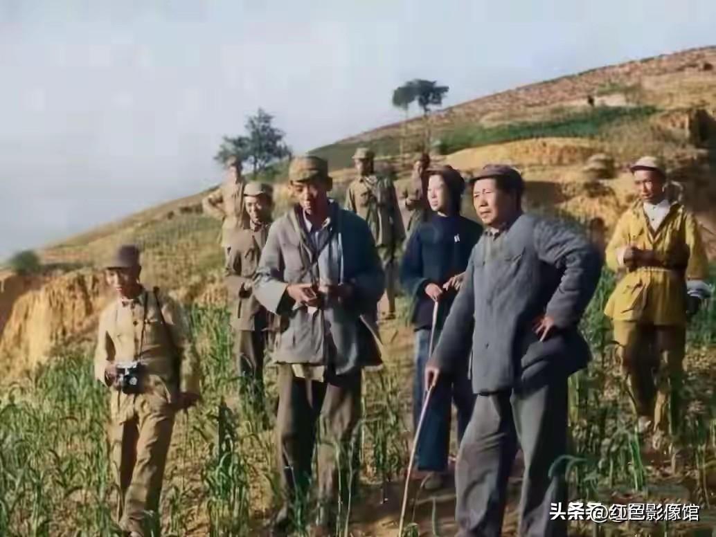 尽管毛主席转战陕北，山高水长，营养不良，辛苦非常，但毛爷爷他老人家依然气度不凡，