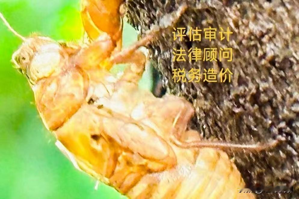 评估闲话：
作为一名资深评估师，尤其是在做无形资产评估，我应该是比较早的，那时候