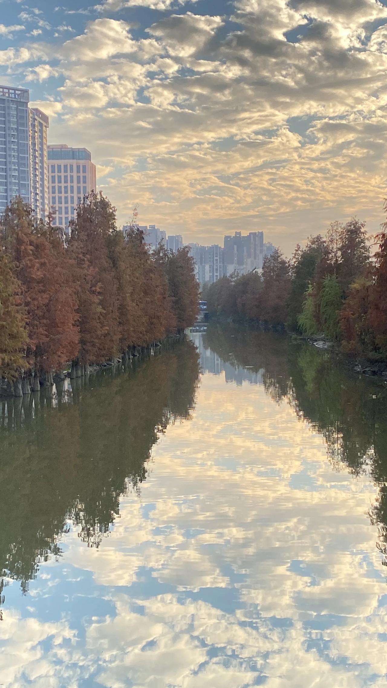 北滘新城建设得如此之好！
所有人都生活在大花园中，
真好！
顺德美景随手拍 海珠