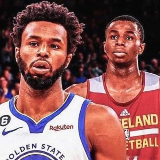 《这次交易能达成，猛龙换维金斯和韦尔补强锋线和中锋，热火得到巴雷特和桑德罗提升年