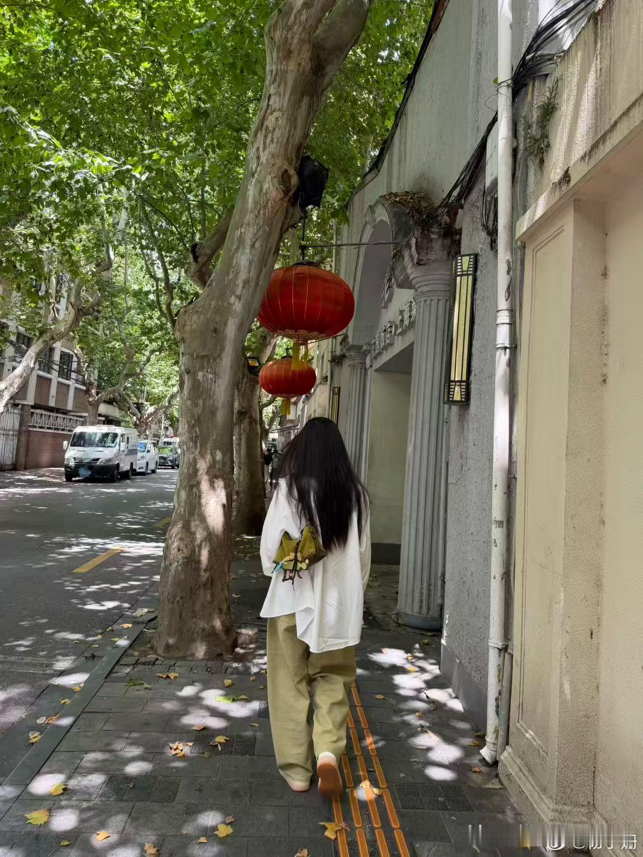 杨子姗分享图片