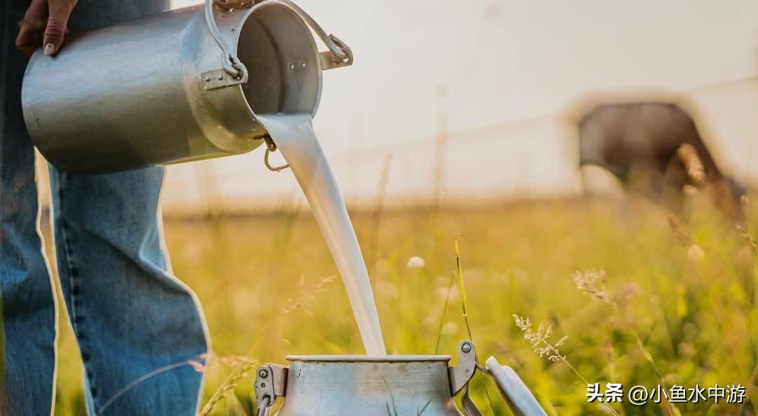 【饮用生奶酿命案】美国初生婴儿感染李斯特菌死亡 官方警告孕妇勿信“天然健康”潮流