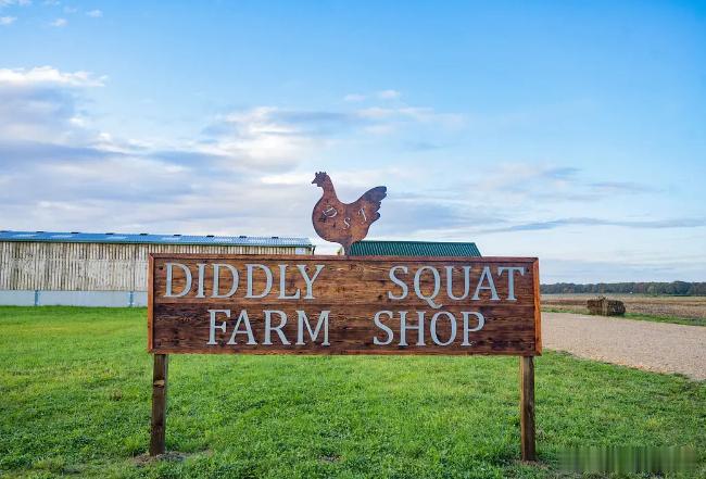 #周日愉快# 早！ ​​​