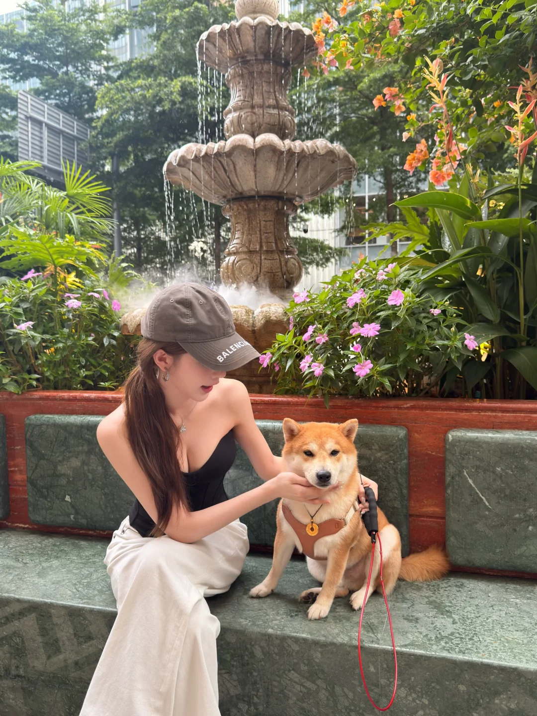 带小狗🐕闯进南法复古面包花园