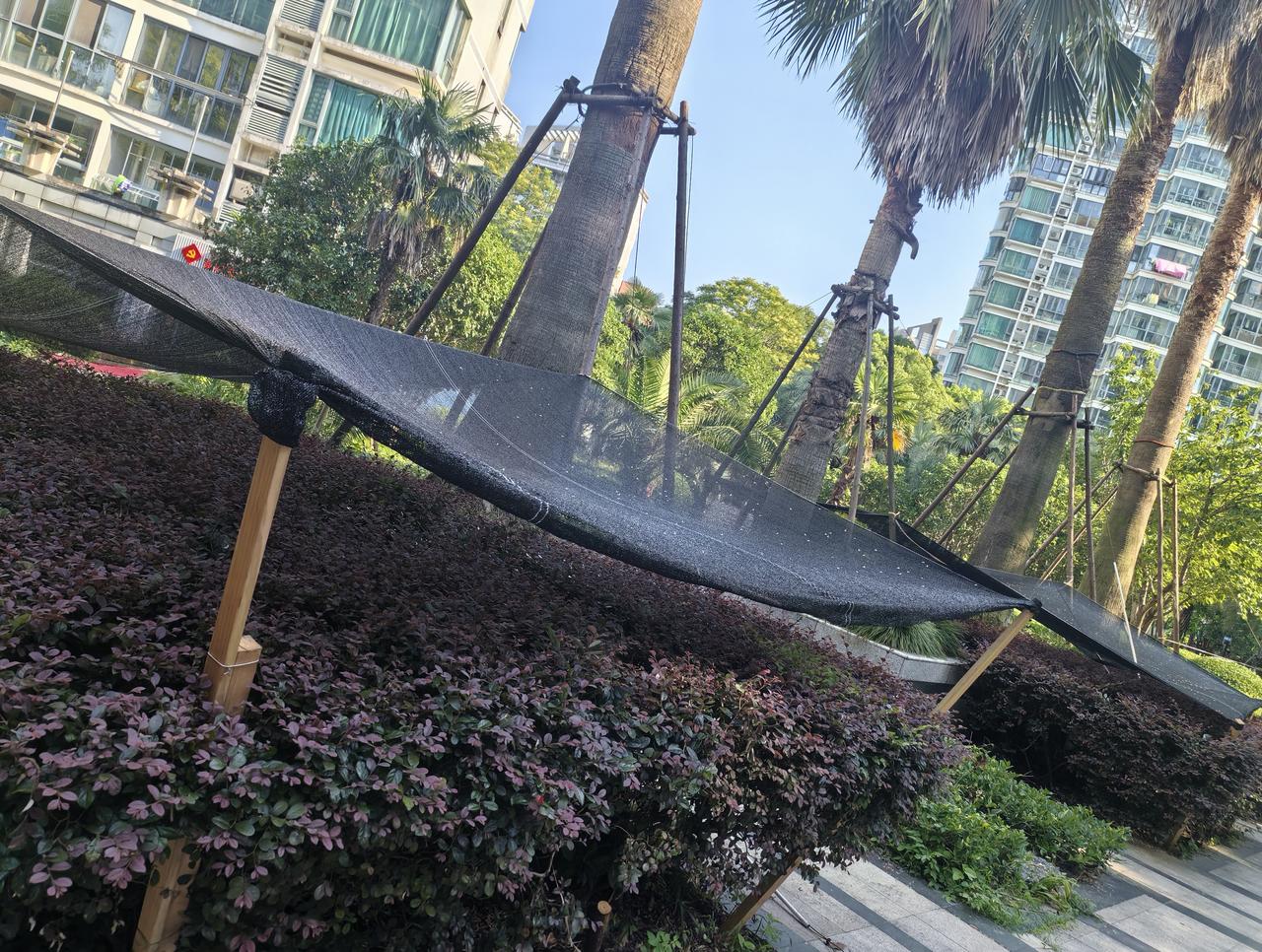 植物需要用遮阳网防晒、防高温吗？
晒图笔记大赛植物隔热网 
上海近几日连续发布高