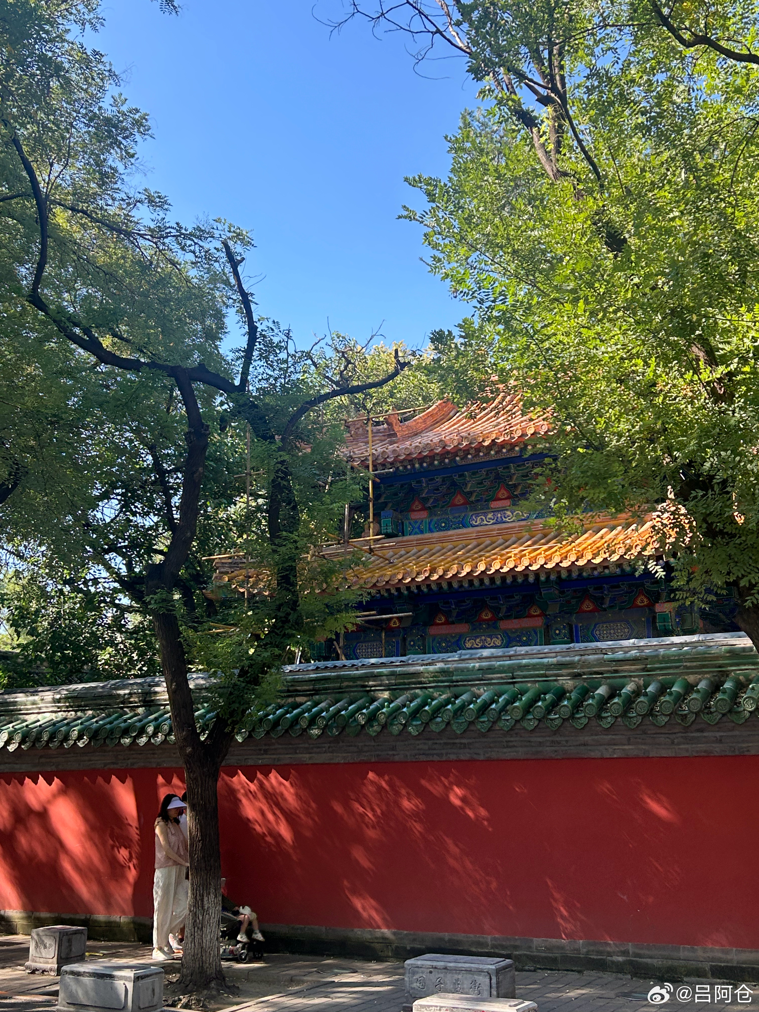 北京的秋天，还挺舒服的。 ​​​