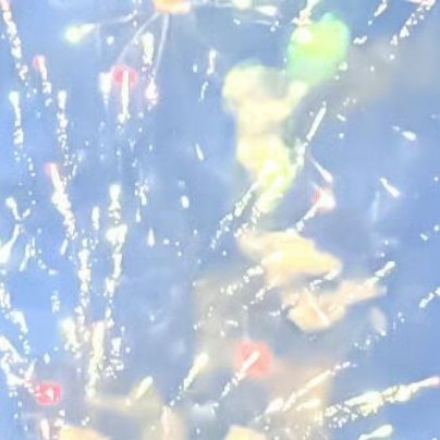 每日一善阳光‎信用 选择了方向与路途时，就不要抱怨，一个人只有承担起旅途风雨，才