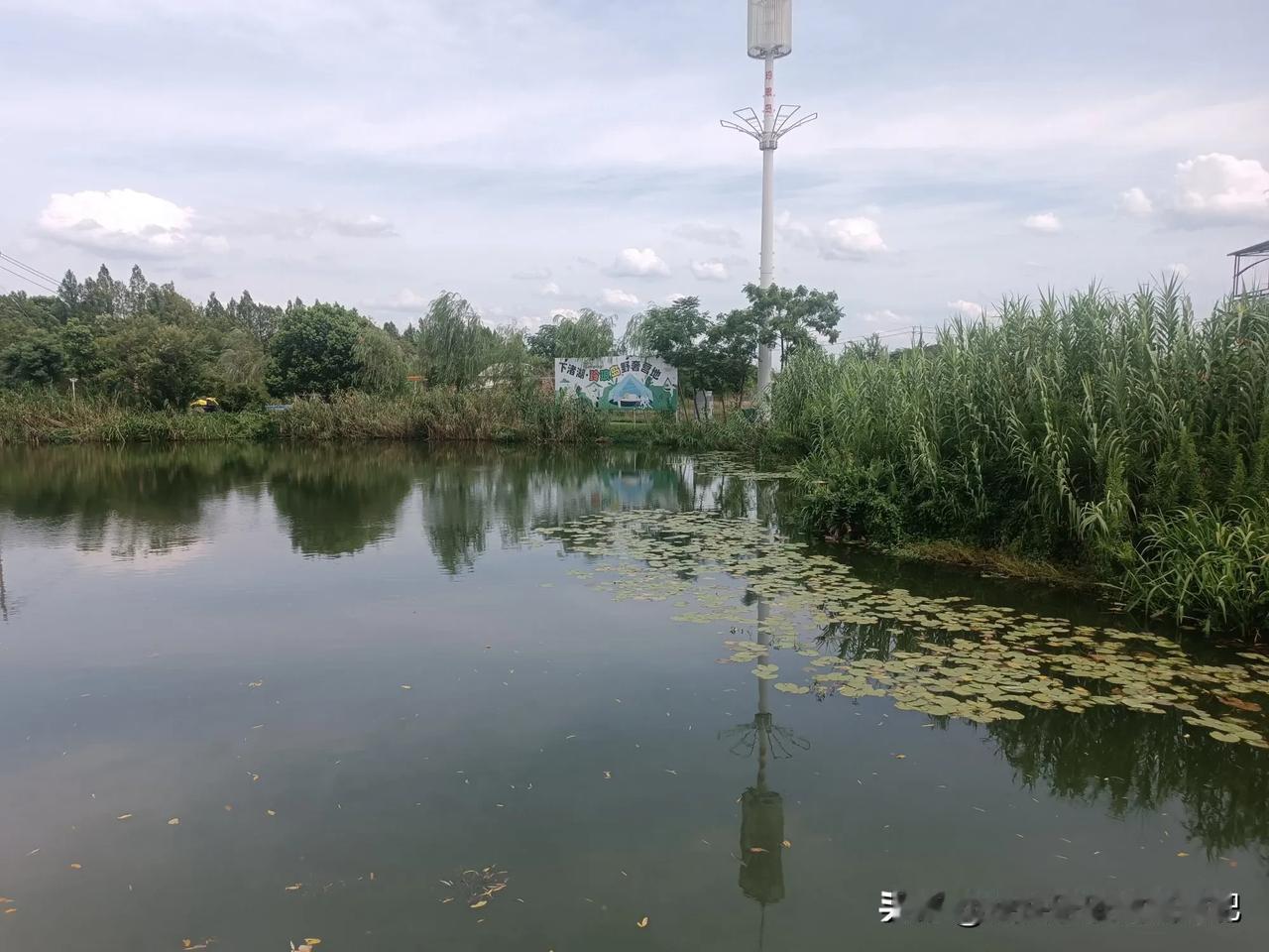 分享城市新鲜事江南水乡的感觉