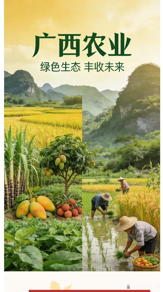 【“桂”在实干！2026年广西“三农”高质量发展路线图来了】

2月10日，全区