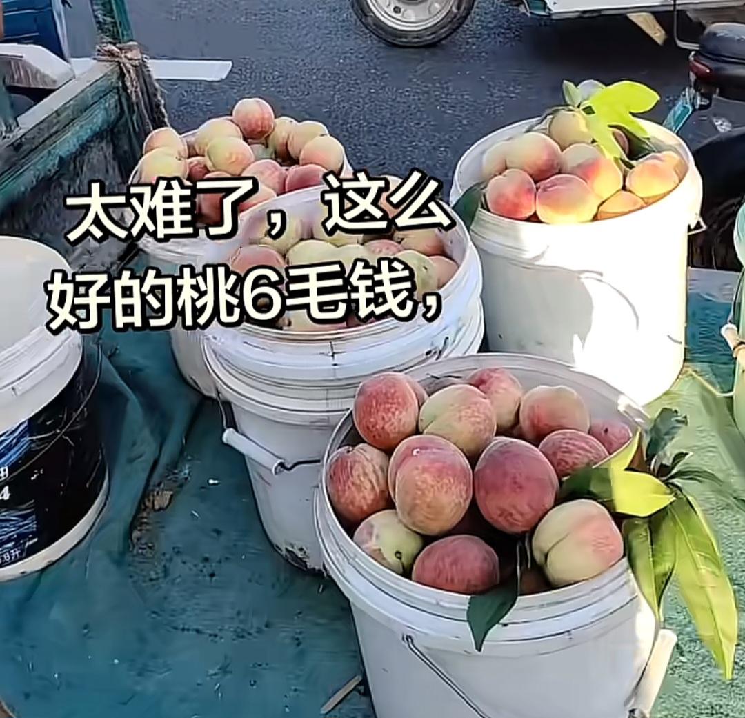 心酸！邹平大爷拉桃路边卖，一斤才6毛