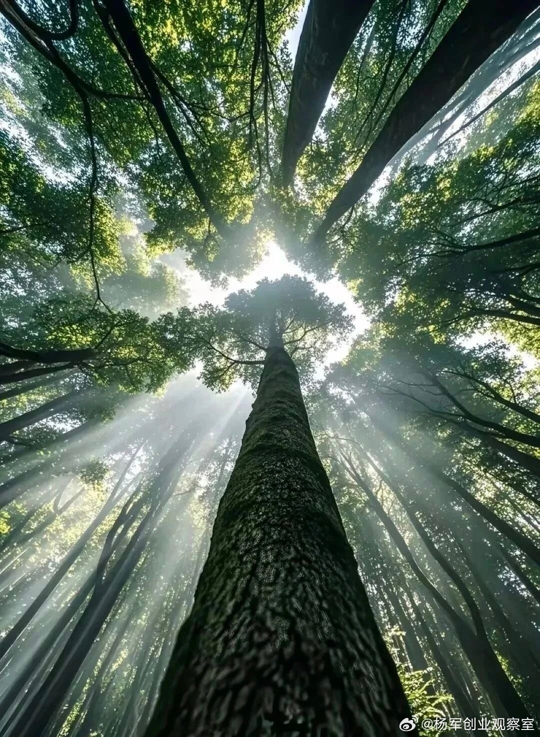 经营顺境时，老板常舍不得分股份；经营困难时，员工往往不敢要股份。股权激励的最佳时