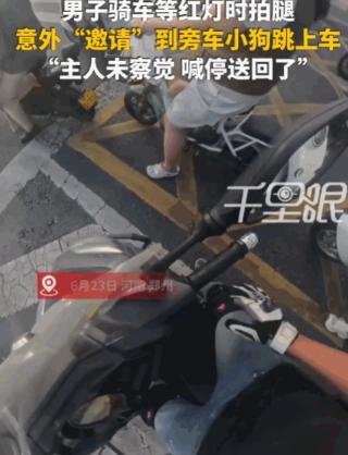拍腿就是暗号！河南，一男子骑车等红灯，因天气炎热，他下意识地拍了拍大腿。没曾想，