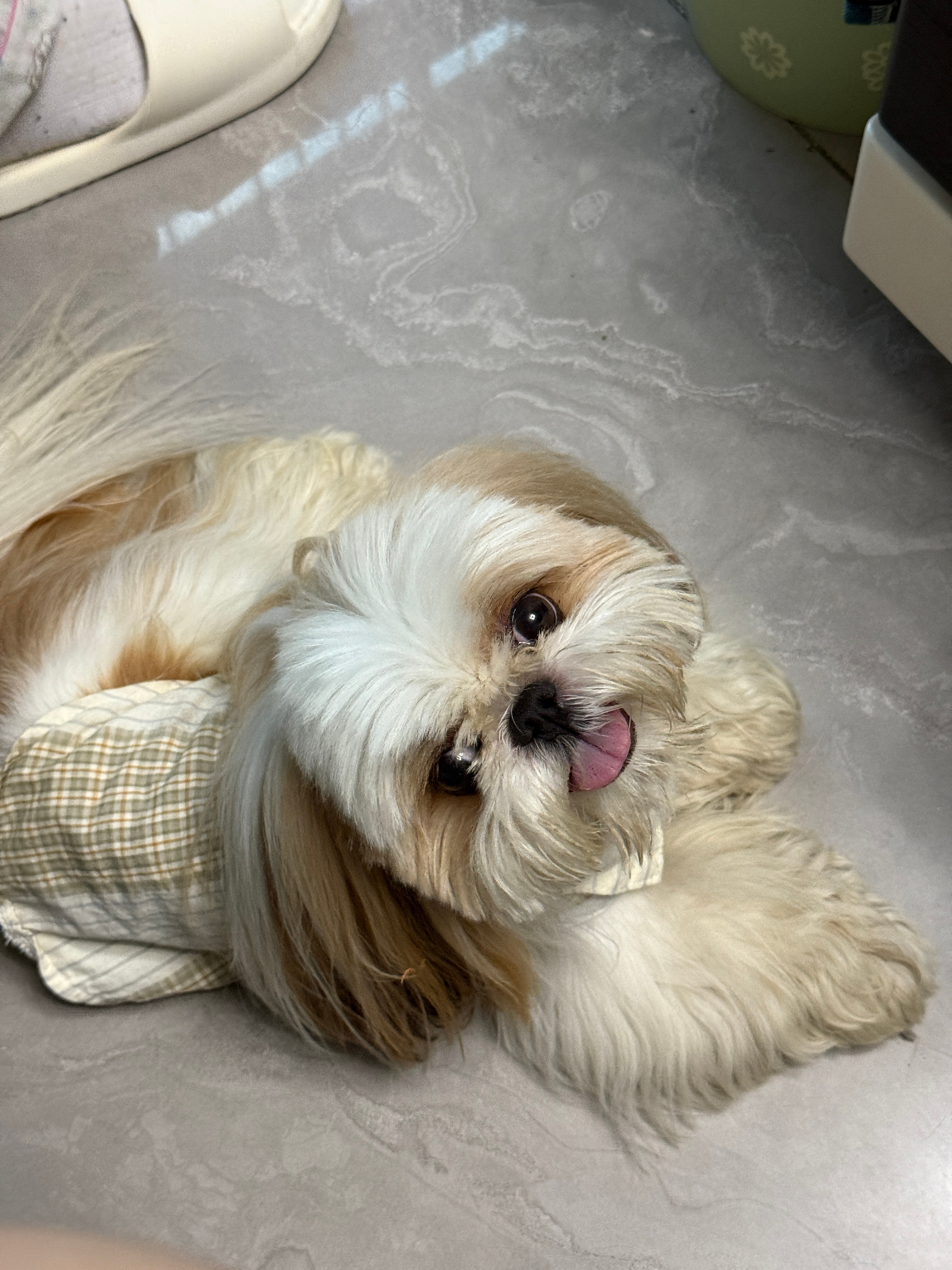 脏脏 但素可爱 ​​​
