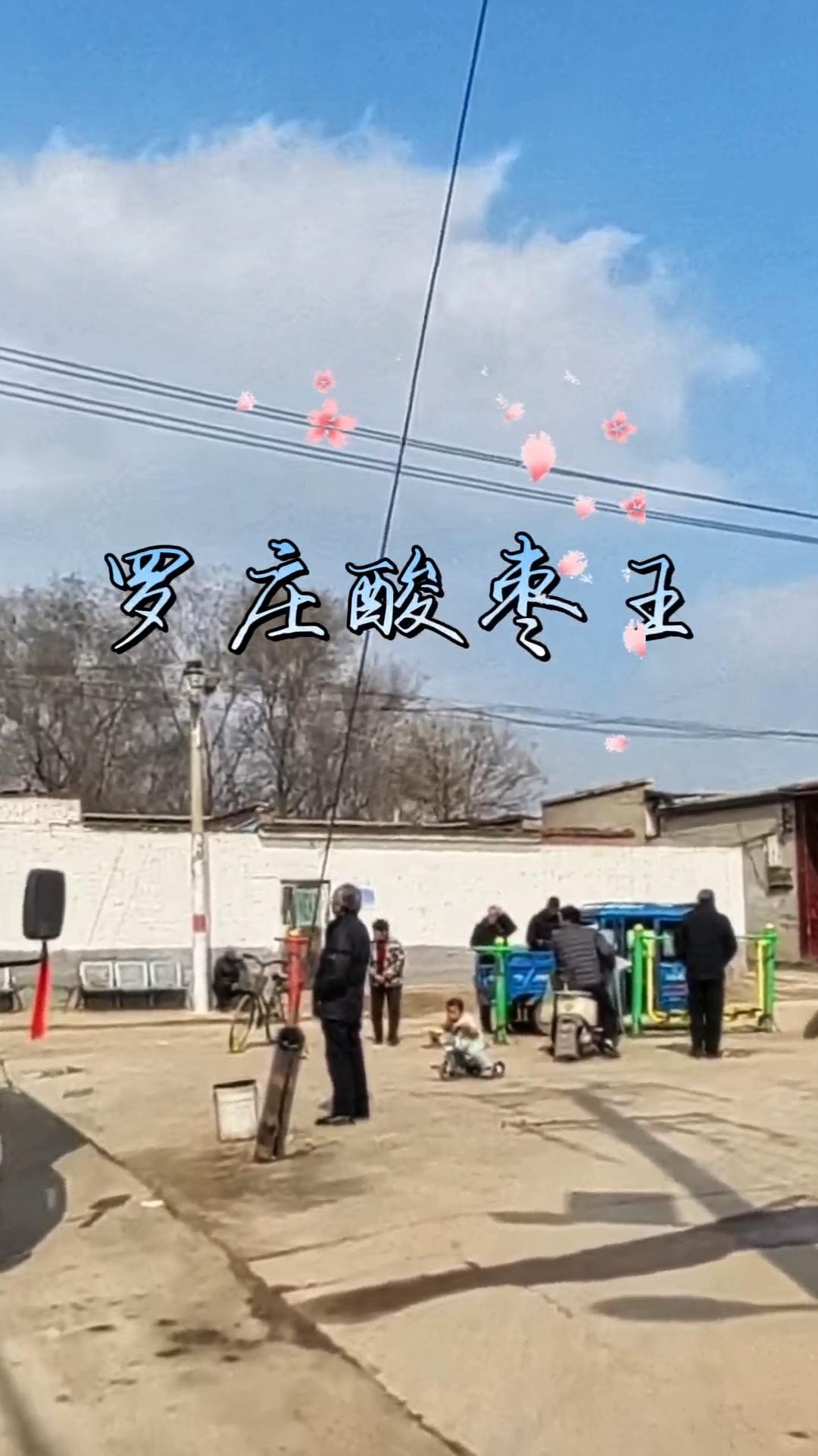 威县罗庄酸枣树，被誉为"酸枣之王"，是明初移民见证和邢台最古老酸枣树，自然与人文