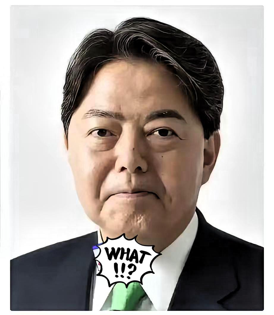 日本宣布了
12月26日，日本总务大臣林芳正在记者会上进行公开道歉。
​​大家都