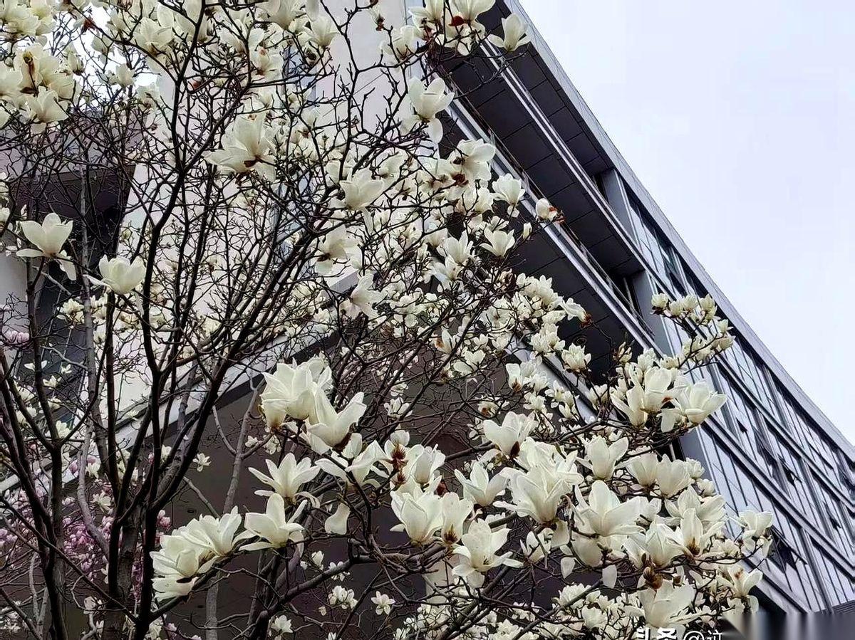 上交大一个孩子，考研总分专业第一，稳了。
结果，他被刷了。
没进复试。理由就一行