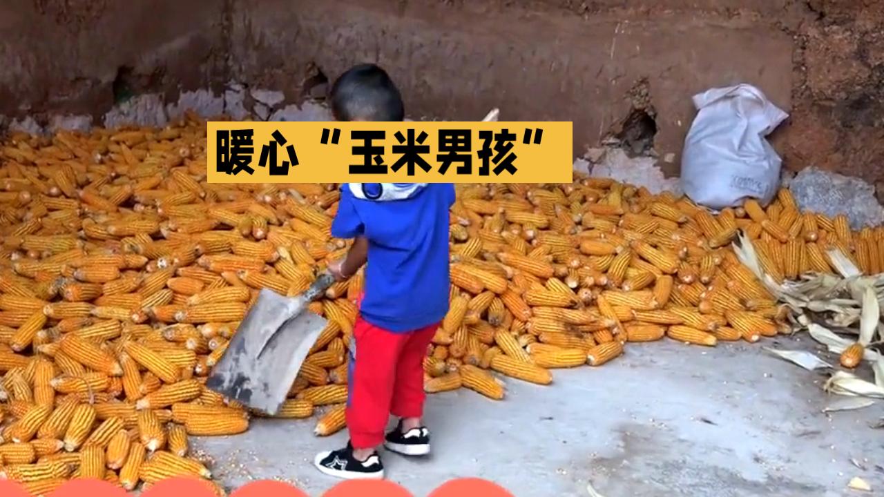 躬耕于野，农民之辛谁人知

农民，无疑是这个社会中最辛苦的群体之一，他们在广袤的